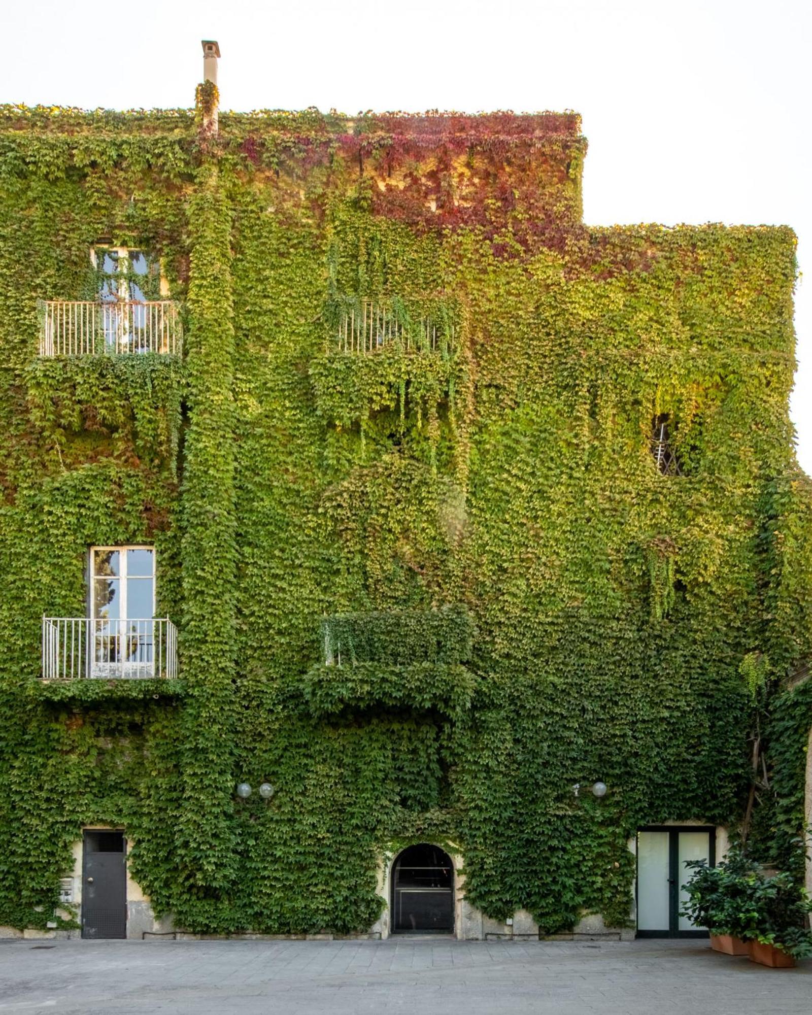 Palazzo De Gregorio Apartments Palermo Exterior foto
